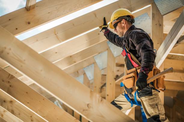 Best Roof Gutter Cleaning  in Hannahs Mill, GA