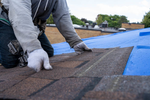 Quick and Trustworthy Emergency Roof Repair Services in Hannahs Mill, GA