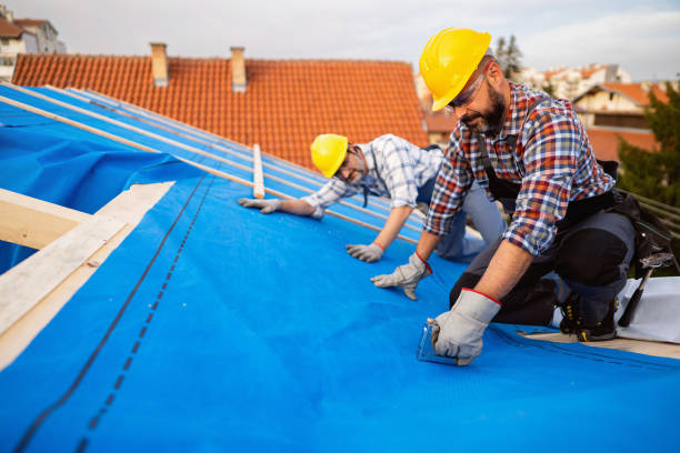 Best Gutter Installation and Roofing  in Hannahs Mill, GA